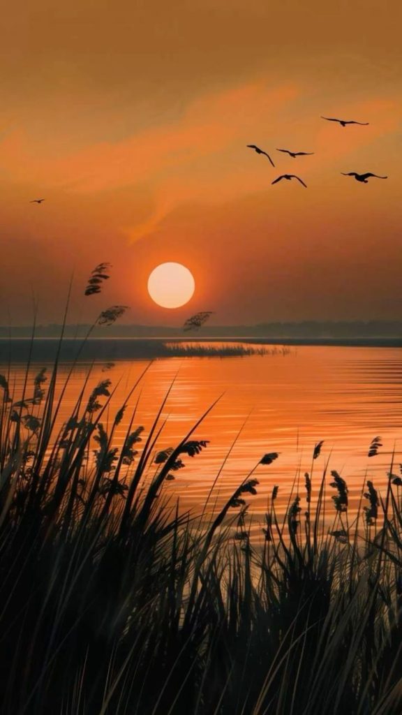 Bem-vindo ao propósito da vida