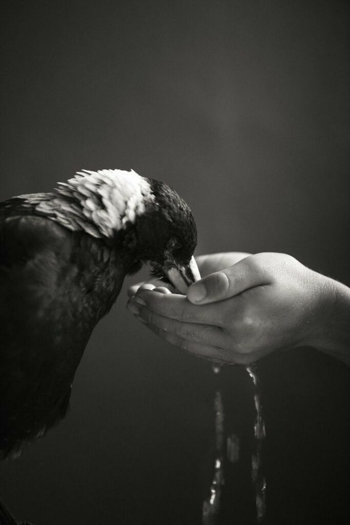 A base da esperança