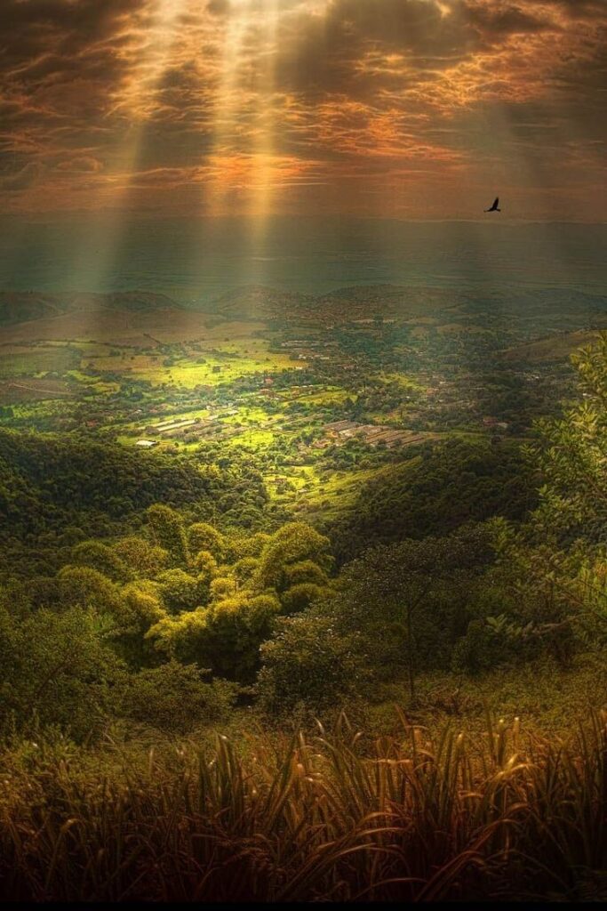 Como se não houvesse amanhã