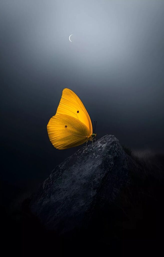 Sentimentos silenciados