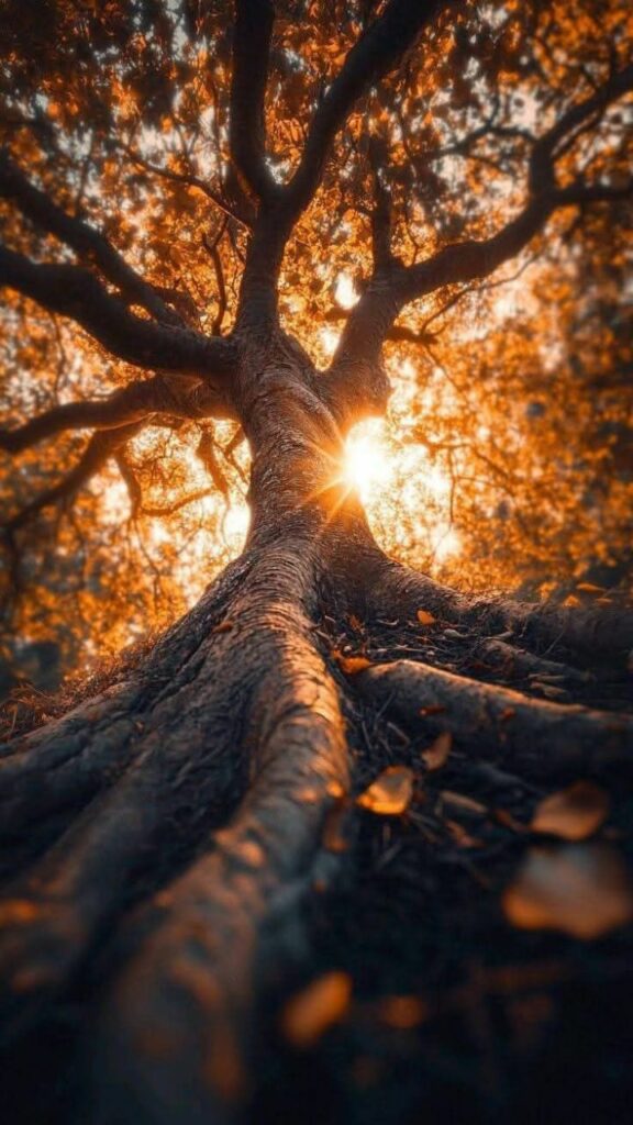 Reerguer a nova Jerusalém