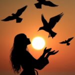 A paz habita no sábio