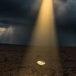 Ainda há esperança