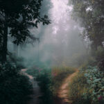 Dois caminhos a frente