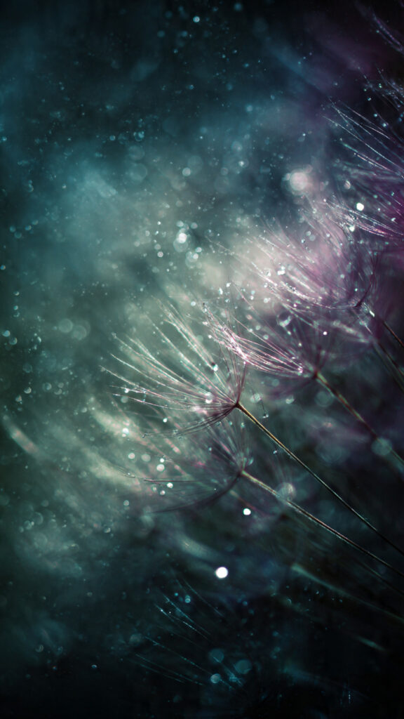 Física quântica espiritual