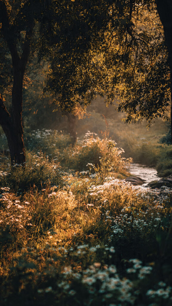 Segundo o Coração de Deus